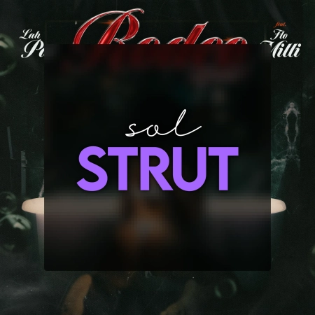 Solspace product 2030 1773889731.webp