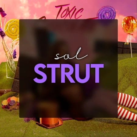 Solspace product 2440 1776727553.webp