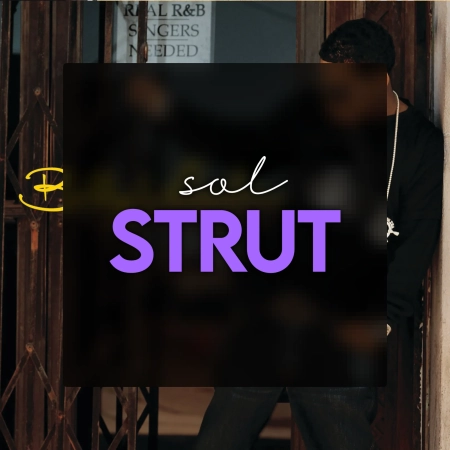 Solspace product 3939 1784165139.webp